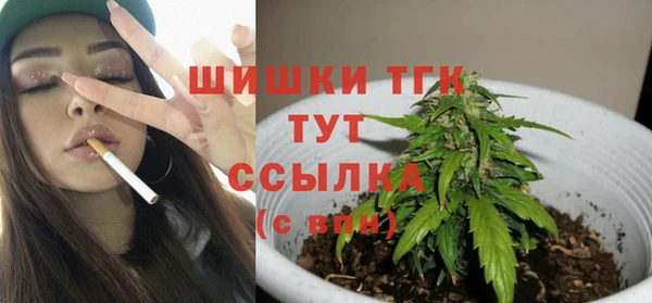 сатива Арсеньев