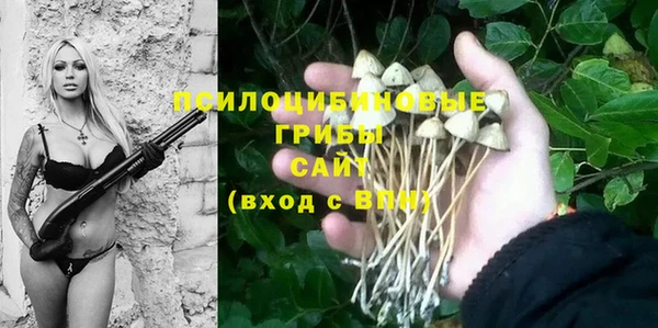 кокс Алзамай