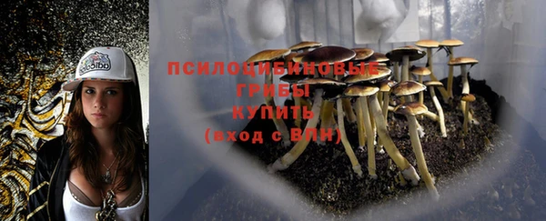 a pvp Алексеевка
