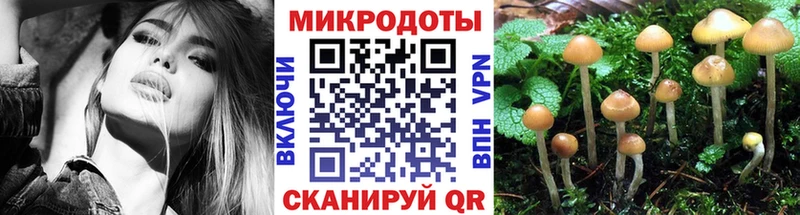 Галлюциногенные грибы Psilocybe  mega сайт  Сарапул 